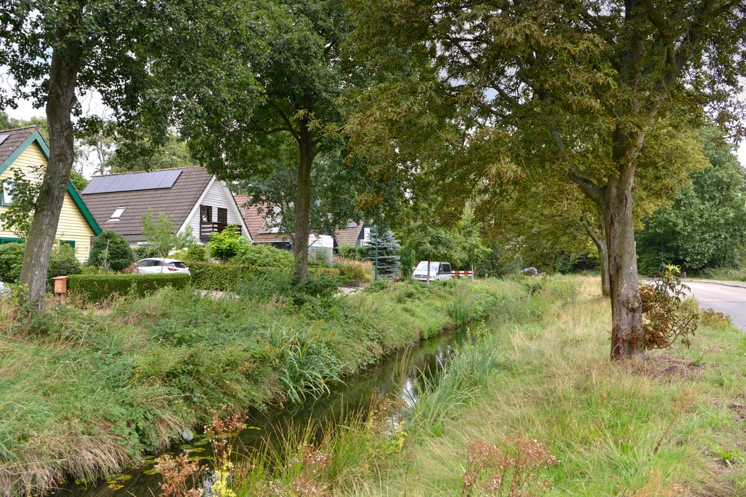 Foto 31 van Turfstreek 247
