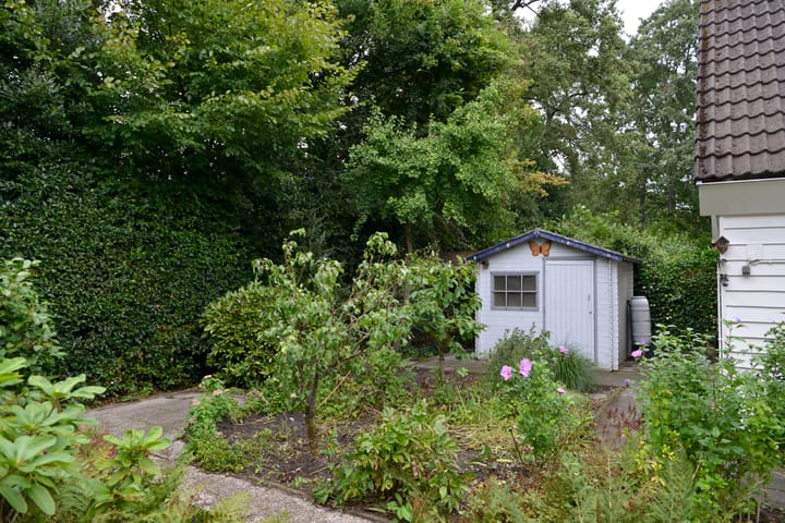 Foto 3 van Turfstreek 247