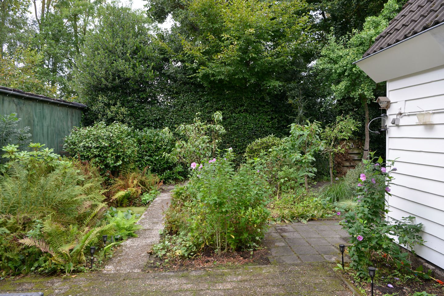 Foto 4 van Turfstreek 247