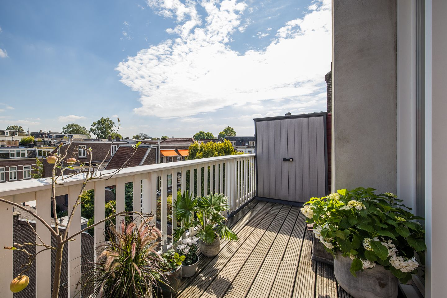Photo 25 of Obrechtstraat 17-BS