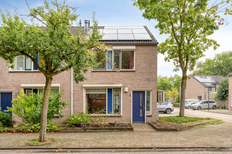 Boletenplein thumbnail