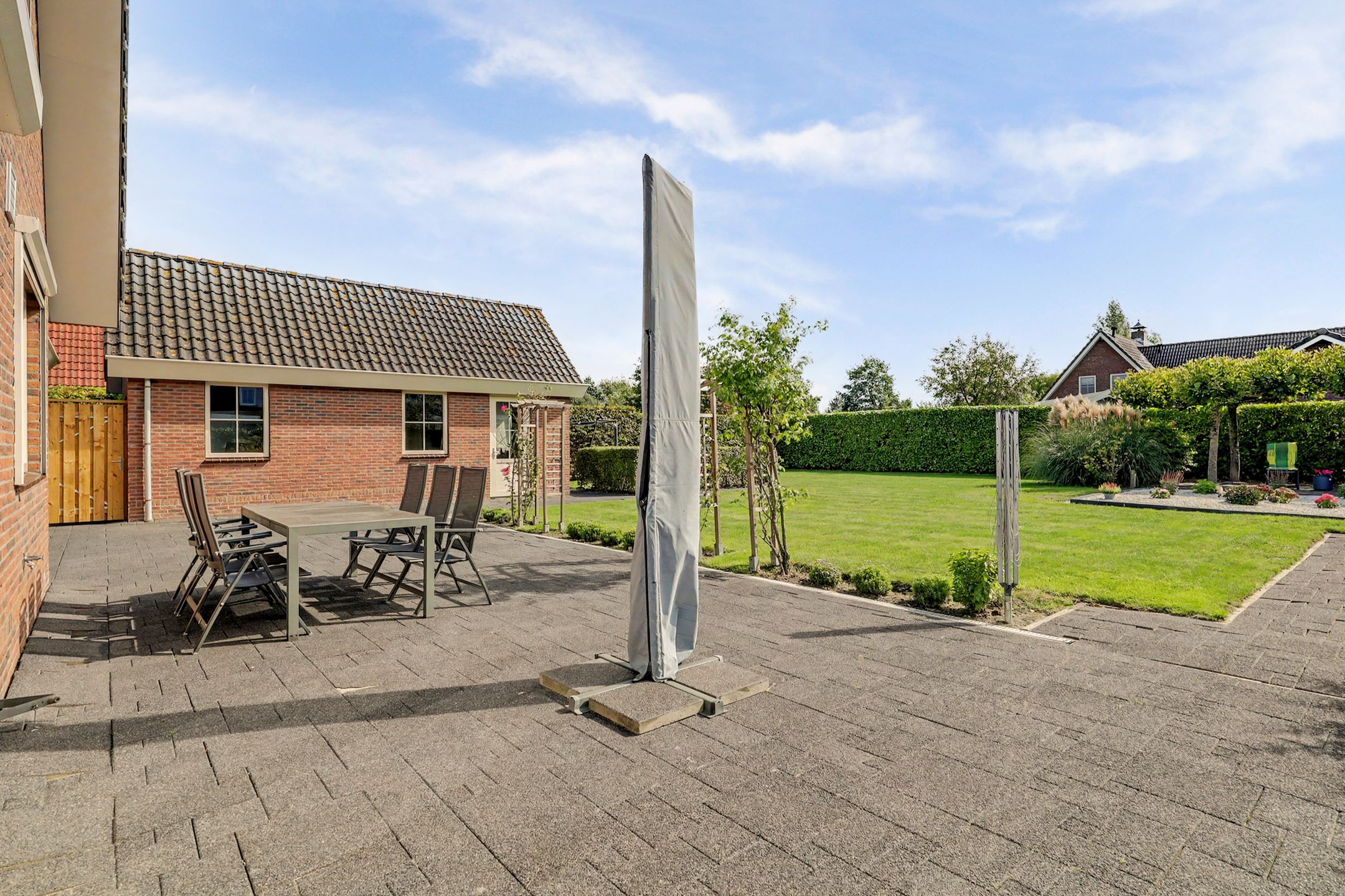 Foto 42 van Teunisbloem 2