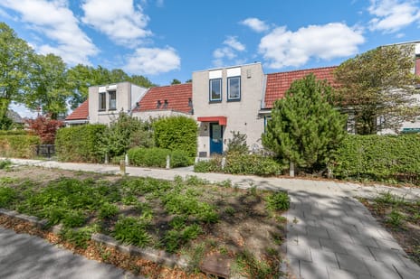 Prof. Dr. Claylaan thumbnail