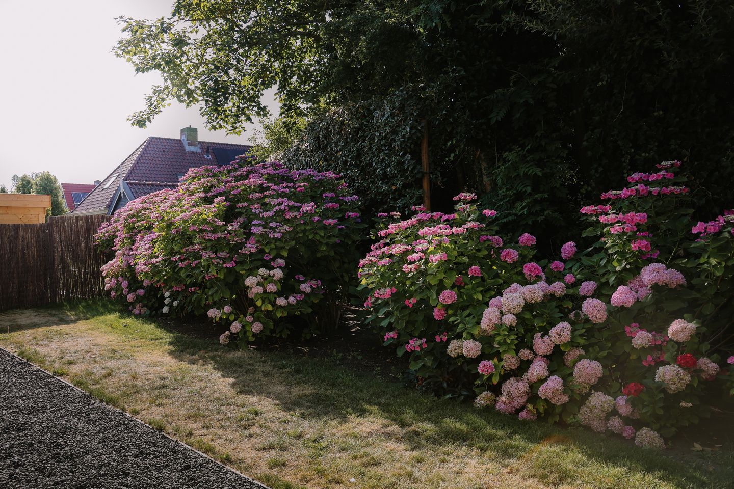 Photo 34 of Bosweg 42