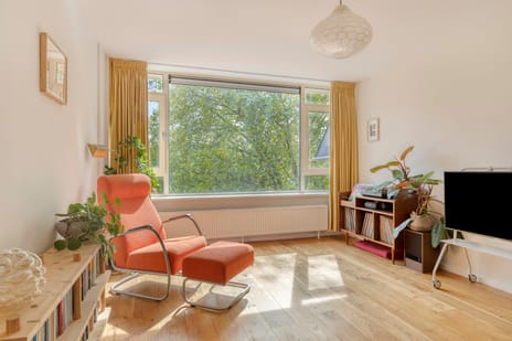 Wilhelmina Druckerstraat thumbnail