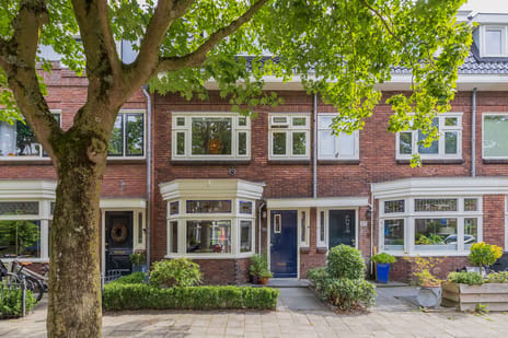 Zonnebloemstraat thumbnail