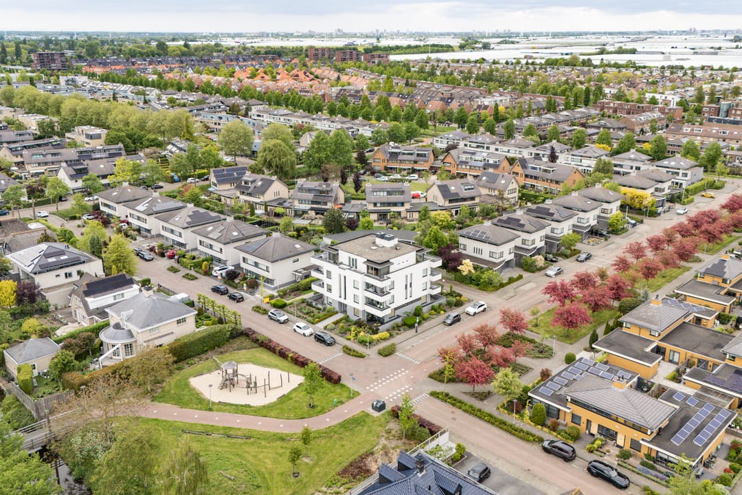 Foto 1 van Steenbreekvaren 34