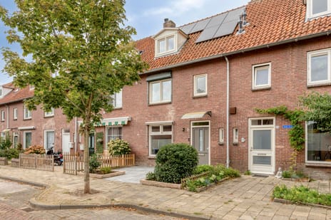 Obrechtlaan thumbnail