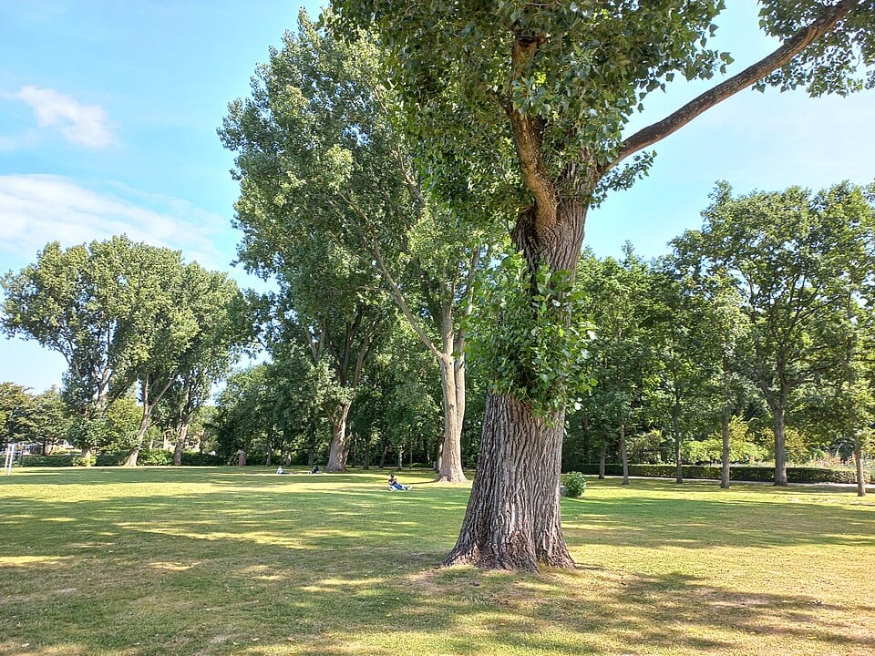 Foto 37 van Admiraal De Ruijterweg 352-1