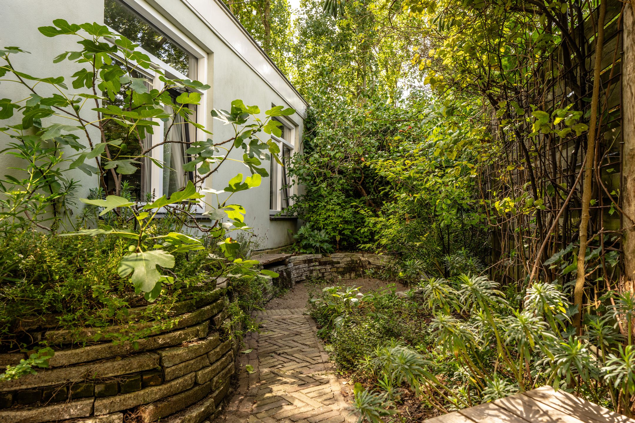 Photo 21 of Obrechtstraat 344