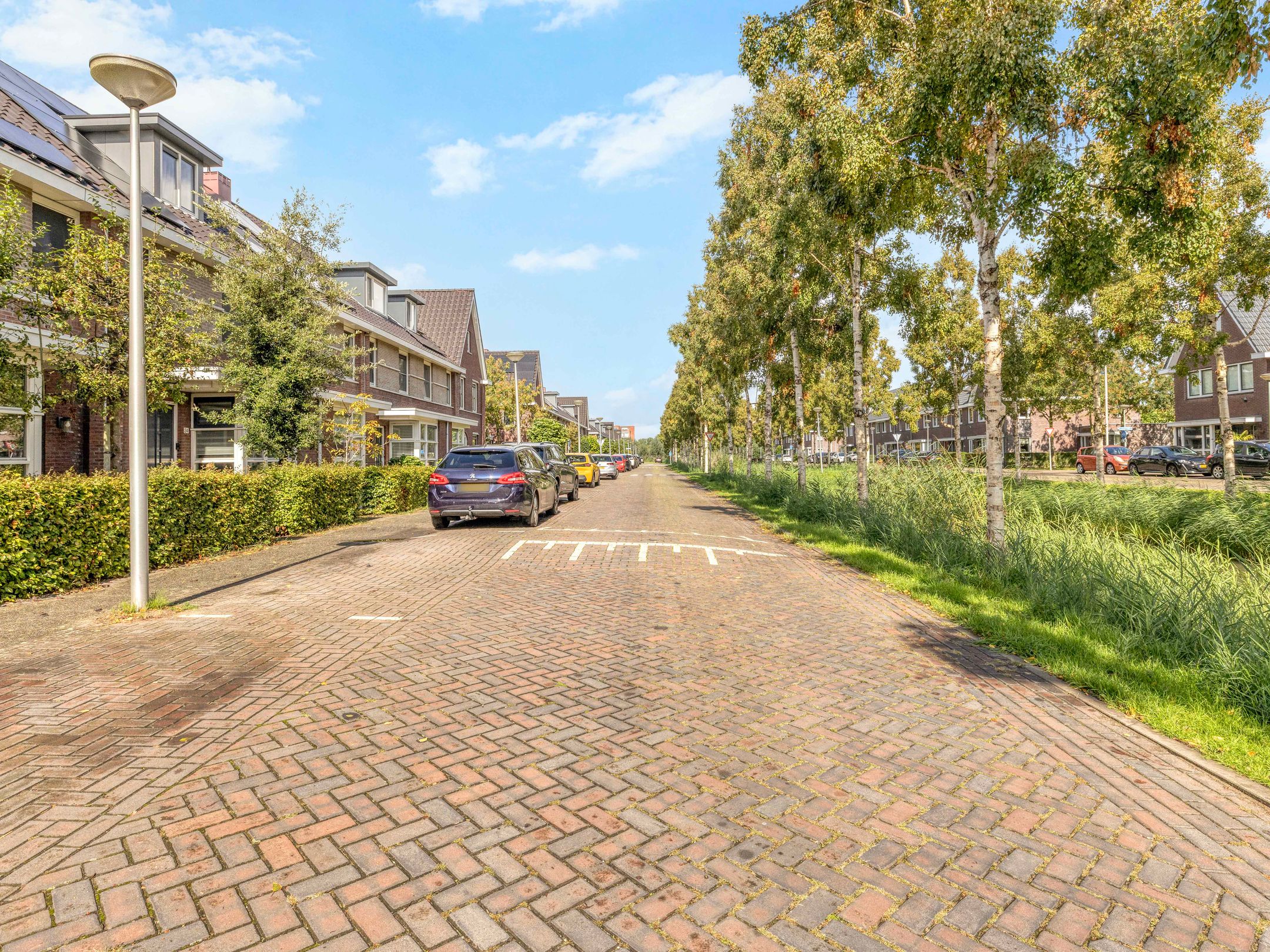 Foto 45 van Kantbloemsingel 27