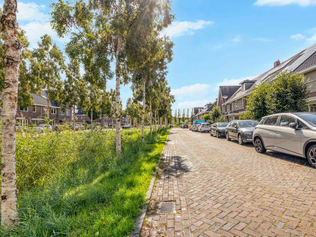 Foto 43 van Kantbloemsingel 27