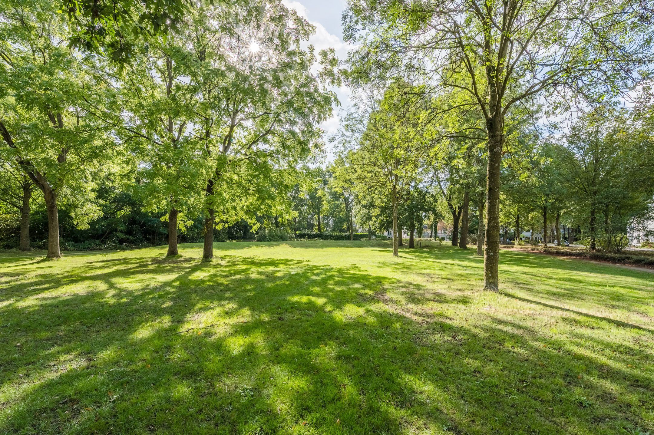 Foto 45 van Vrijkensven 3