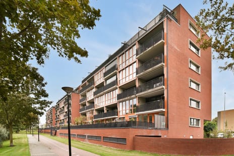 Frank van Borselenstraat thumbnail