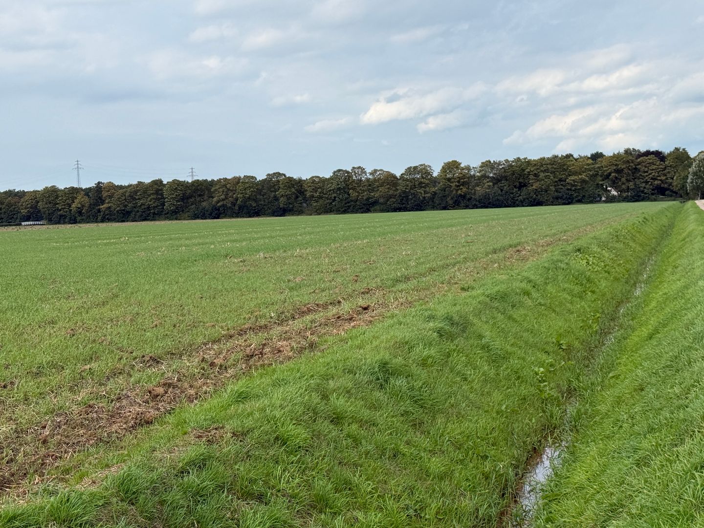 Kadoelerweg 16 - Kraggenburg - Afbeelding 5