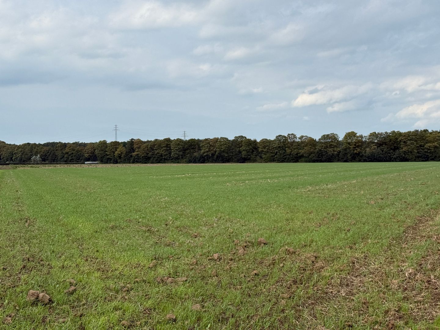 Kadoelerweg 16 - Kraggenburg - Afbeelding 4