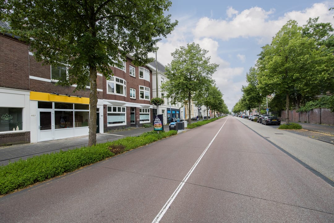 Photo 37 of Biltstraat 465