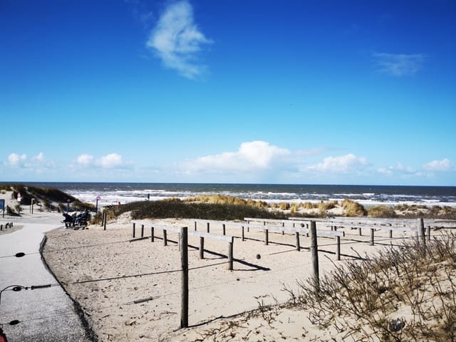 Foto 46 van Pauwenlaan 85