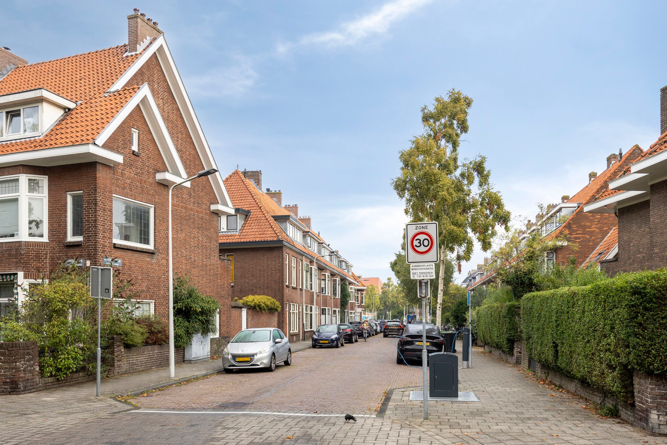 Foto 45 van Van 't Hoffstraat 41