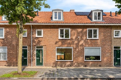 Lucas van Leydenstraat thumbnail