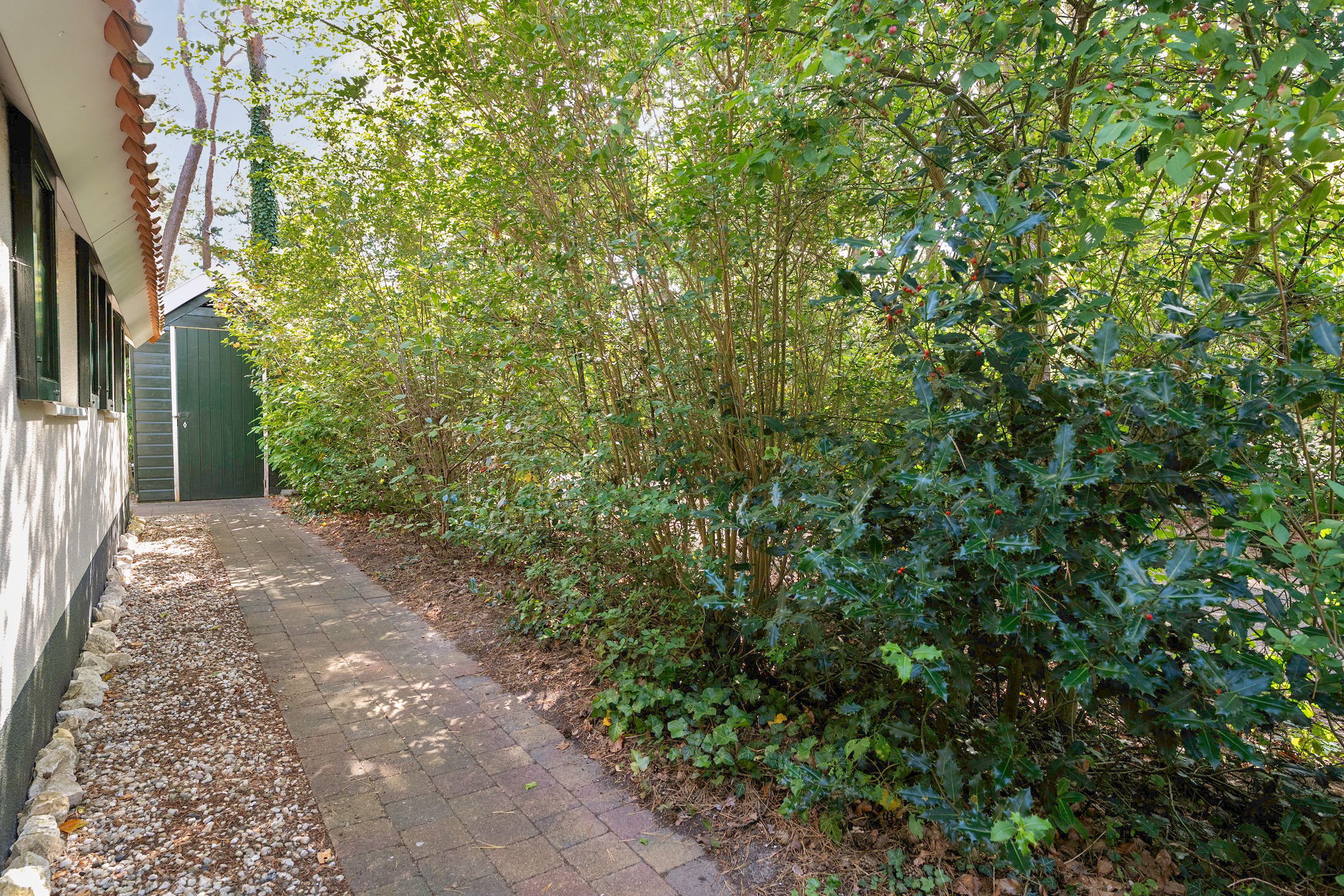 Foto 42 van De Witte Bergen 45