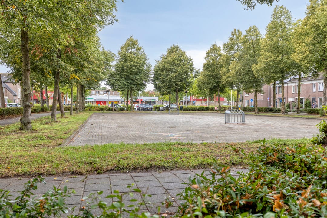 Foto 46 van Borculolaan 80