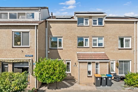 Marelstraat thumbnail