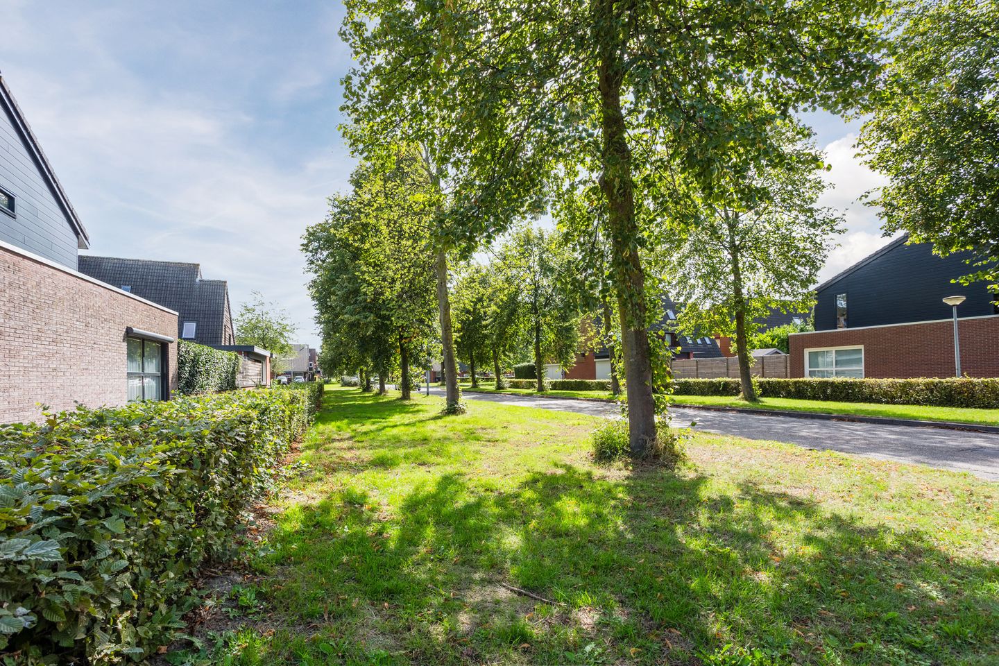 Foto 40 van Pieter Brueghelstraat 28