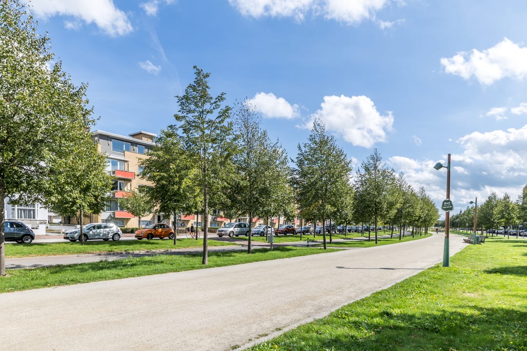 Photo 2 of Oranjeplein 93-D