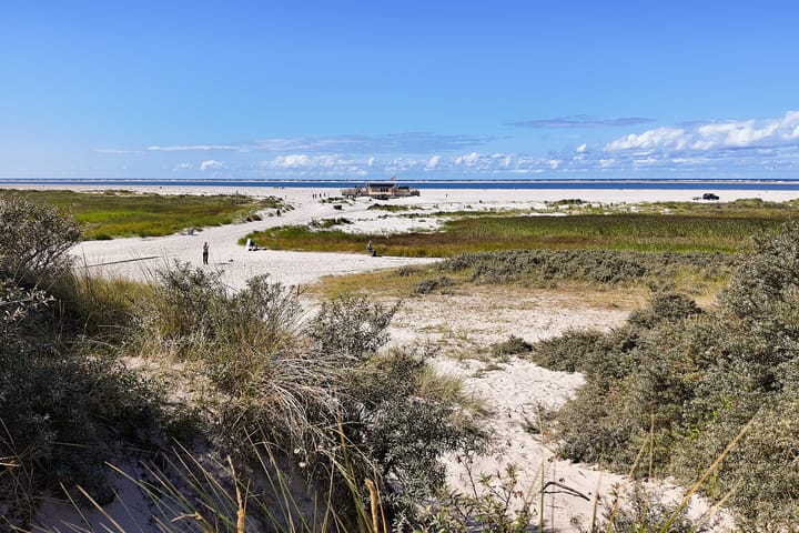 Foto 4 van Langestreek 11-A9
