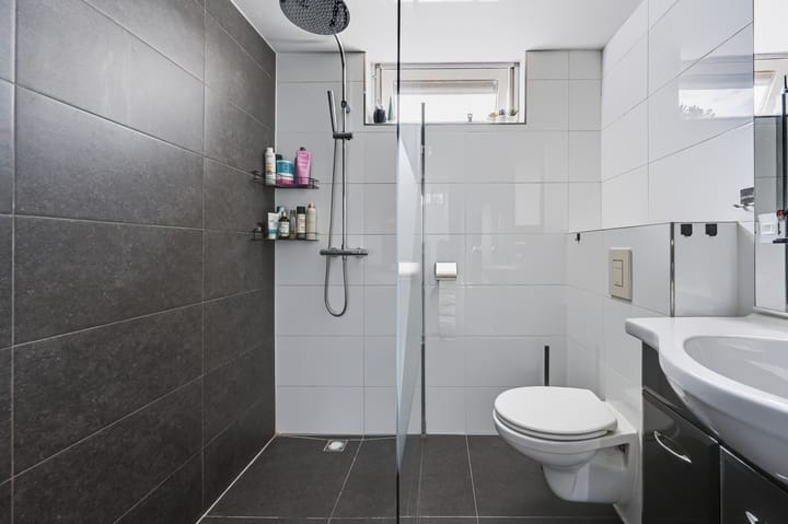 Foto 4 van Baarsveen 461
