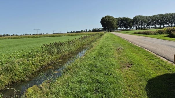 Sasweg - Sprang-Capelle - Afbeelding 5