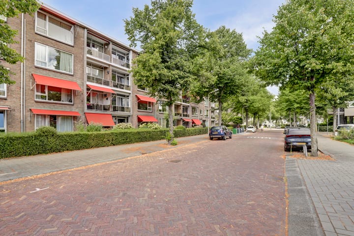 Appartement te koop: Willem van Aelststraat 17III, Delft