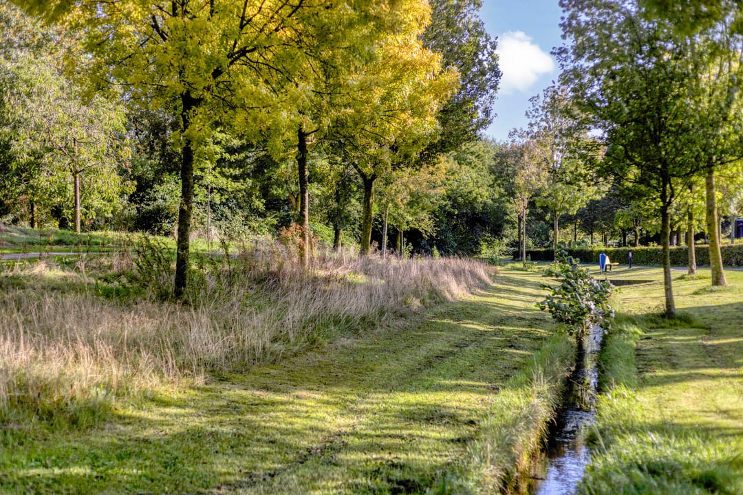 Foto 41 van Sabelpootlaan 7