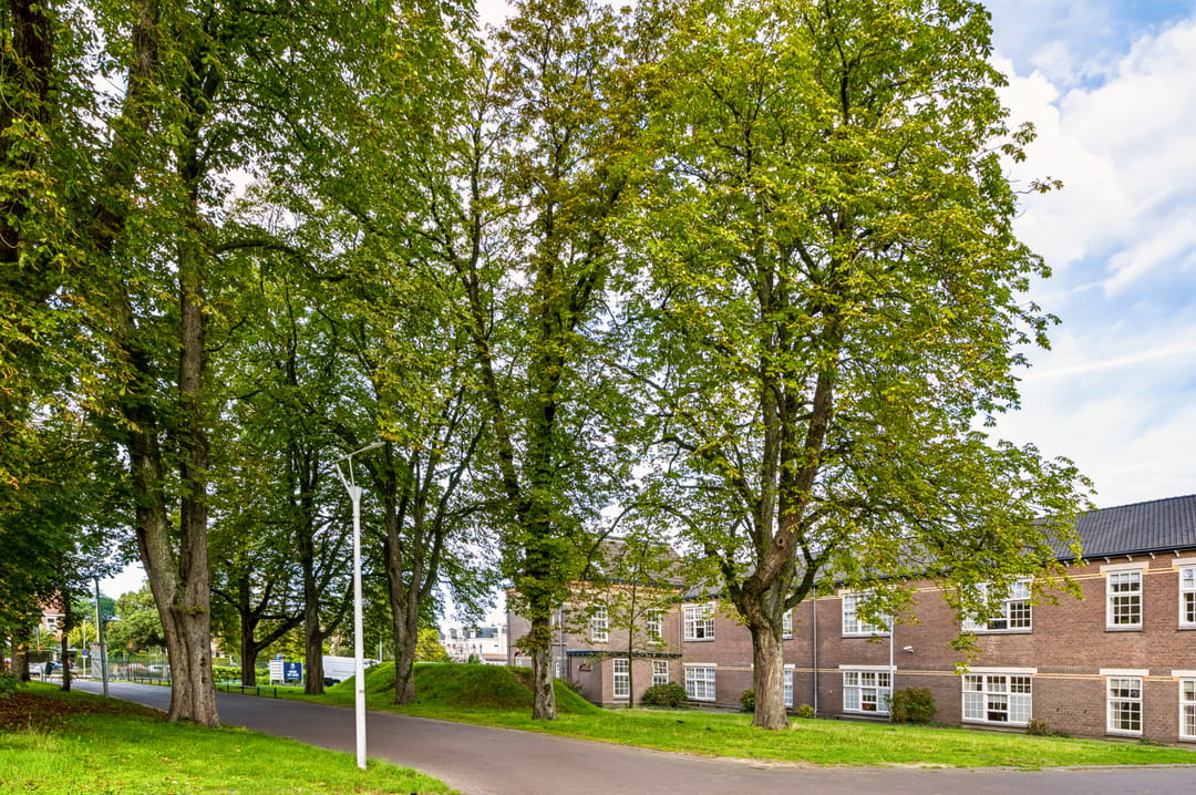 Foto 37 van Molenveldlaan 41-F