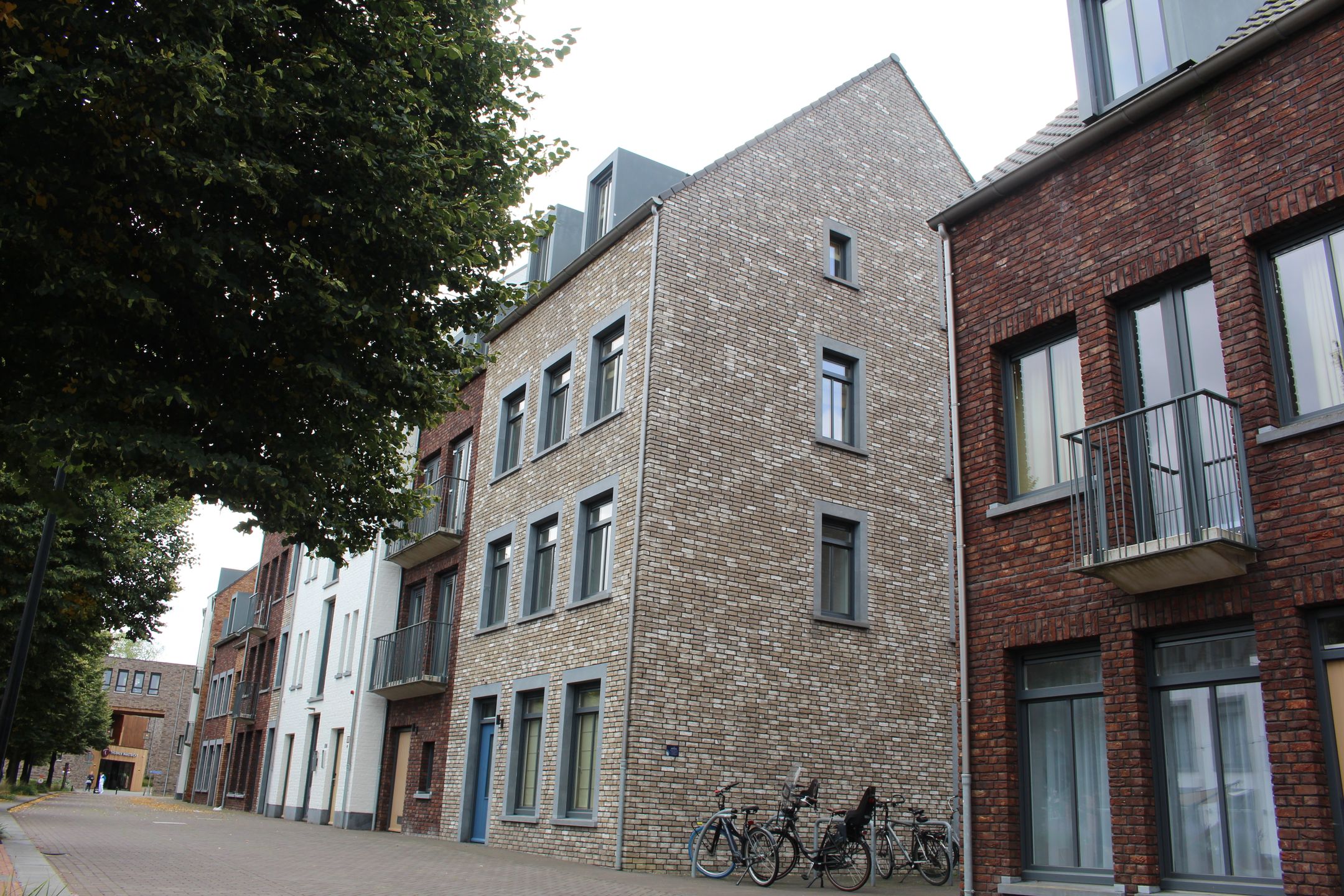 Foto 33 van Het Wilhelmus 15-T