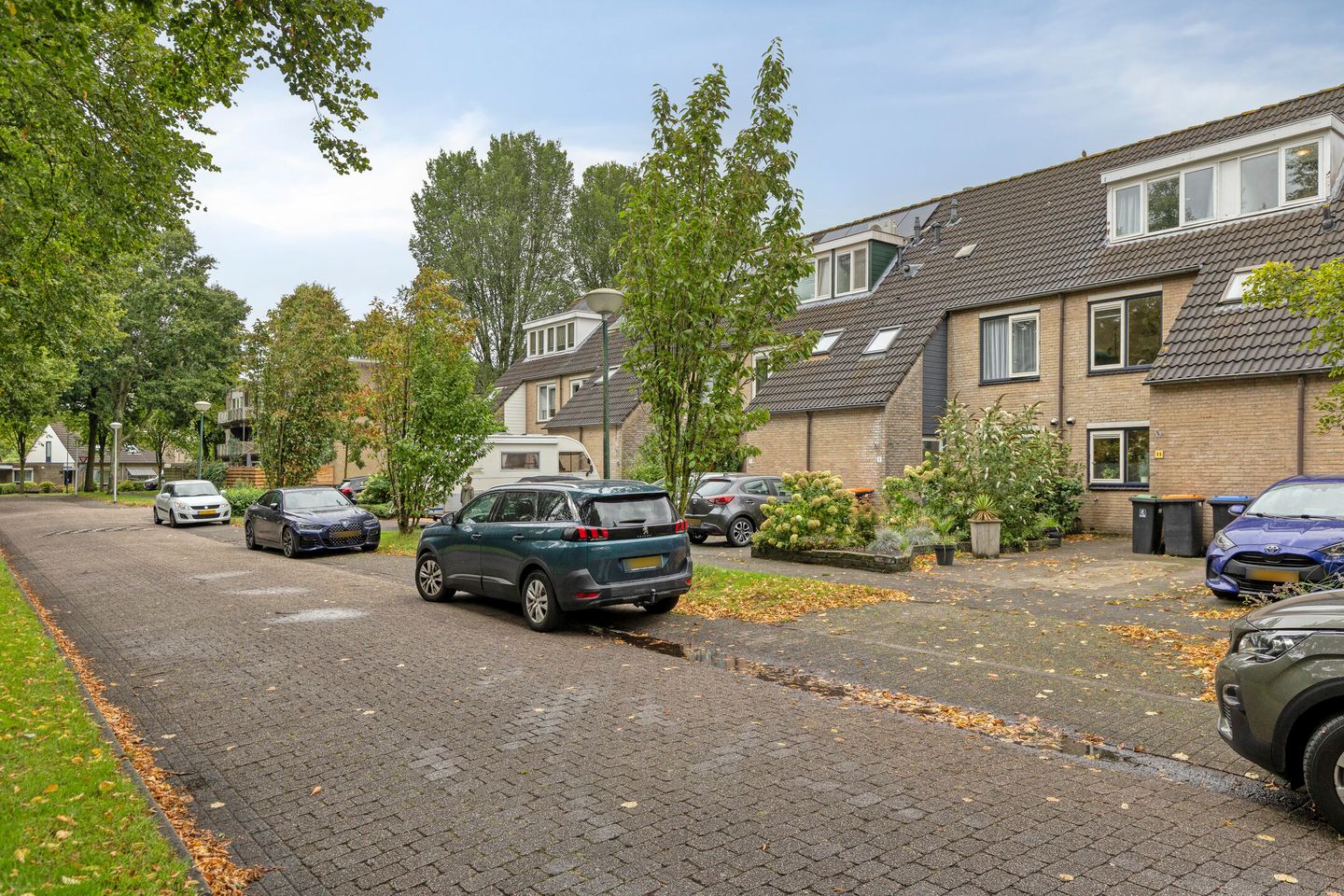 Foto 44 van Veldschoren 11