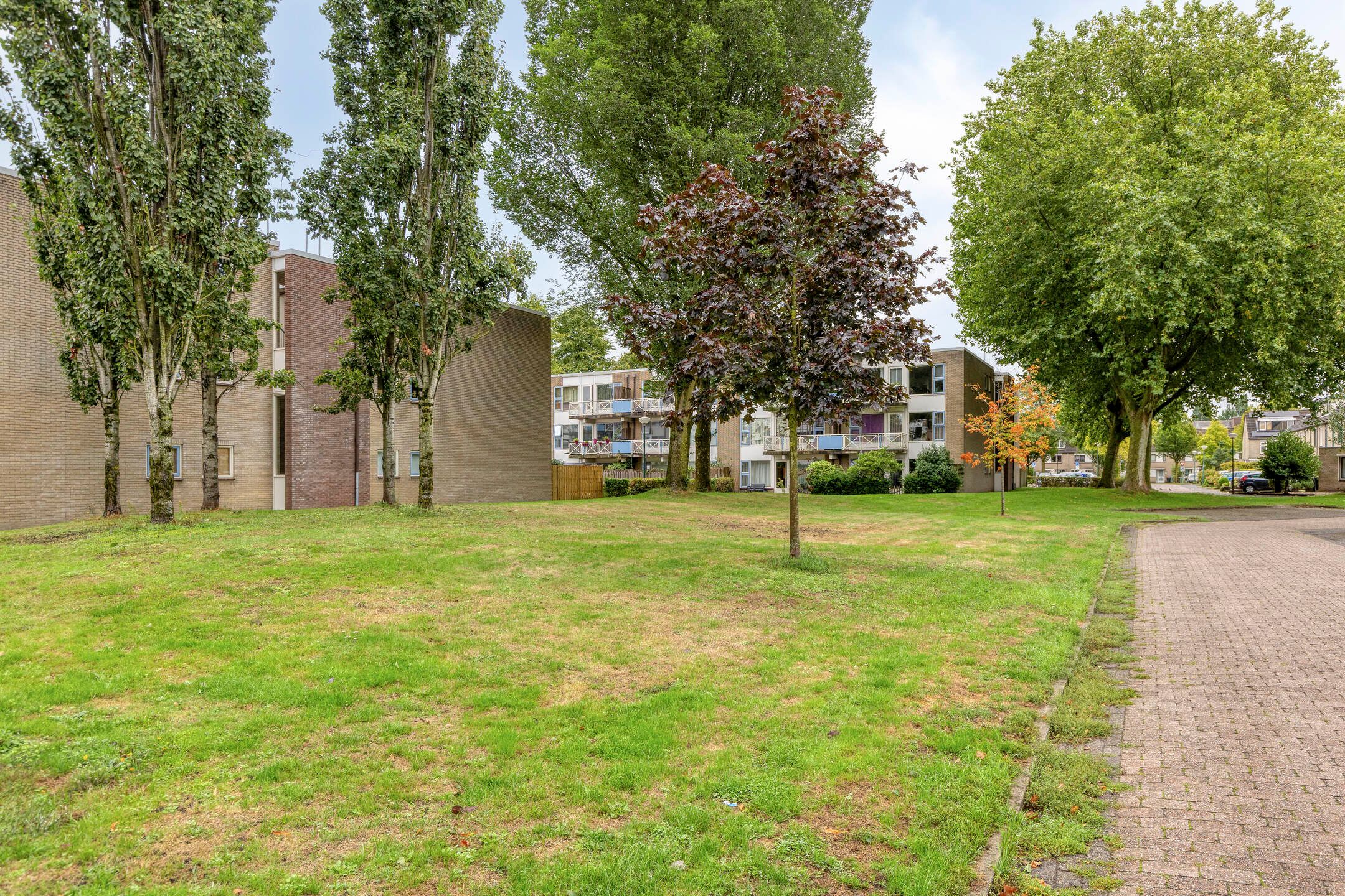 Foto 48 van Veldschoren 11
