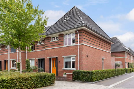 Oesterzwam thumbnail