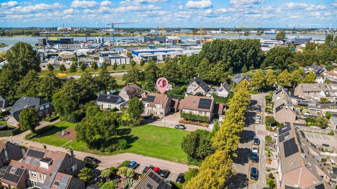 Foto 1 van Duizendblad 7