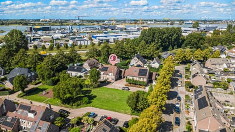 Duizendblad thumbnail