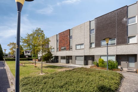 Stellendamstraat thumbnail