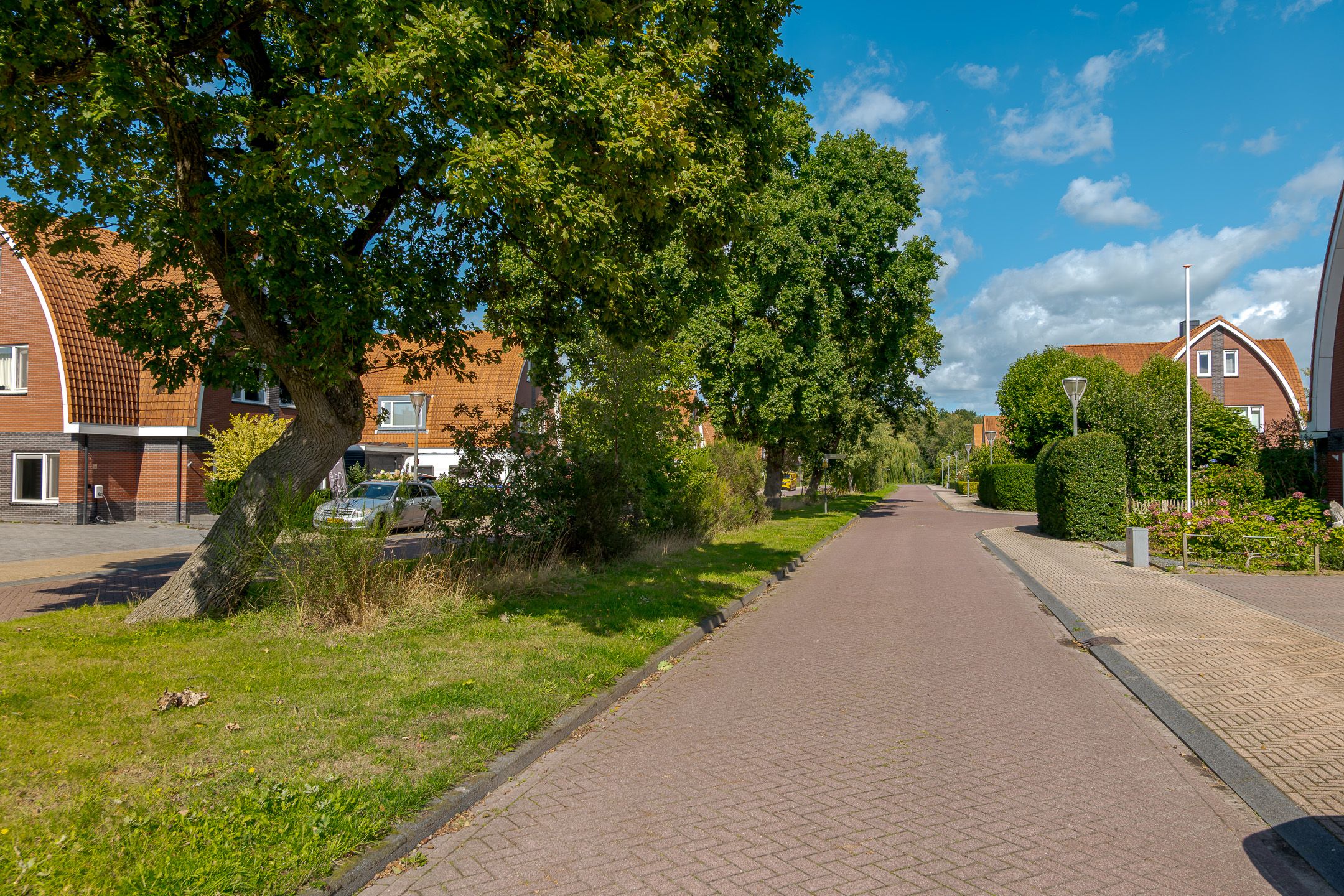 Foto 6 van Berk 44