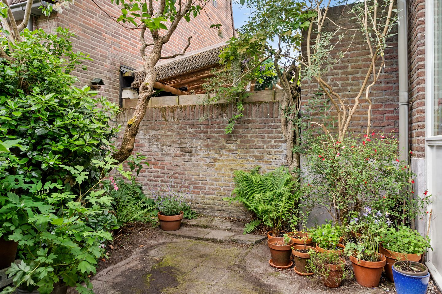 Foto 4 van Baanstraat 25
