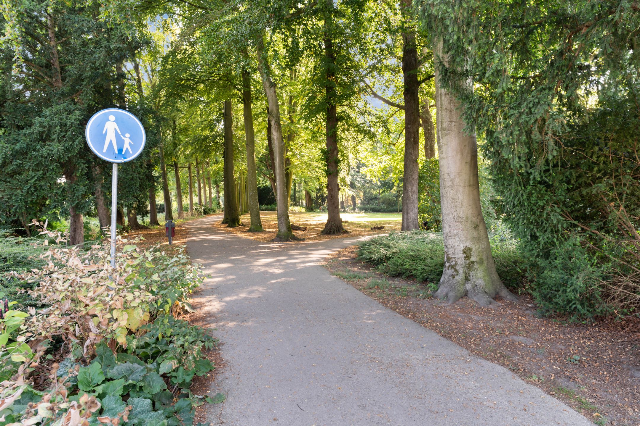 Foto 48 van Dubbelsteynlaan Oost 190