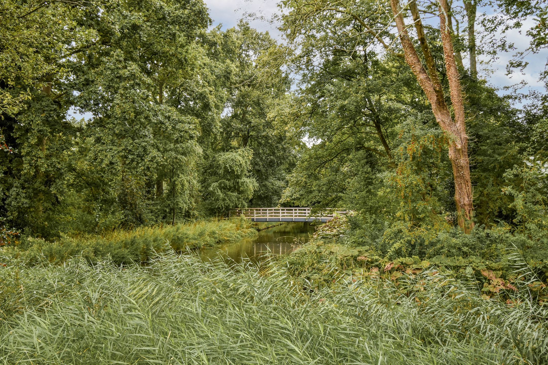Photo 27 of Bolderikkamp 46