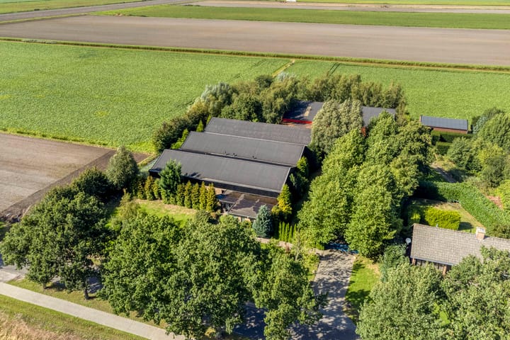 Zuiderdiep 71, Drouwenermond