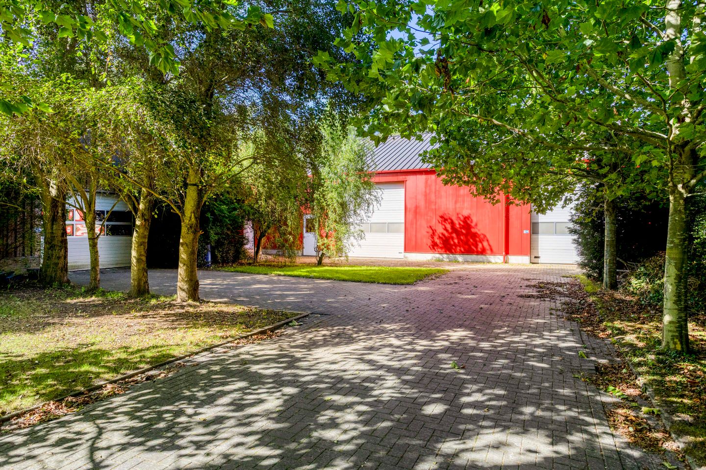 Bekijk foto 3 van Zuiderdiep 71