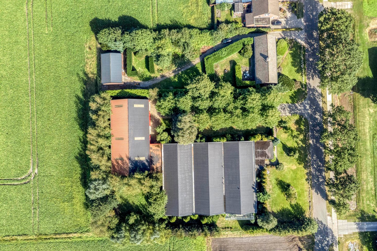 Bekijk foto 4 van Zuiderdiep 71