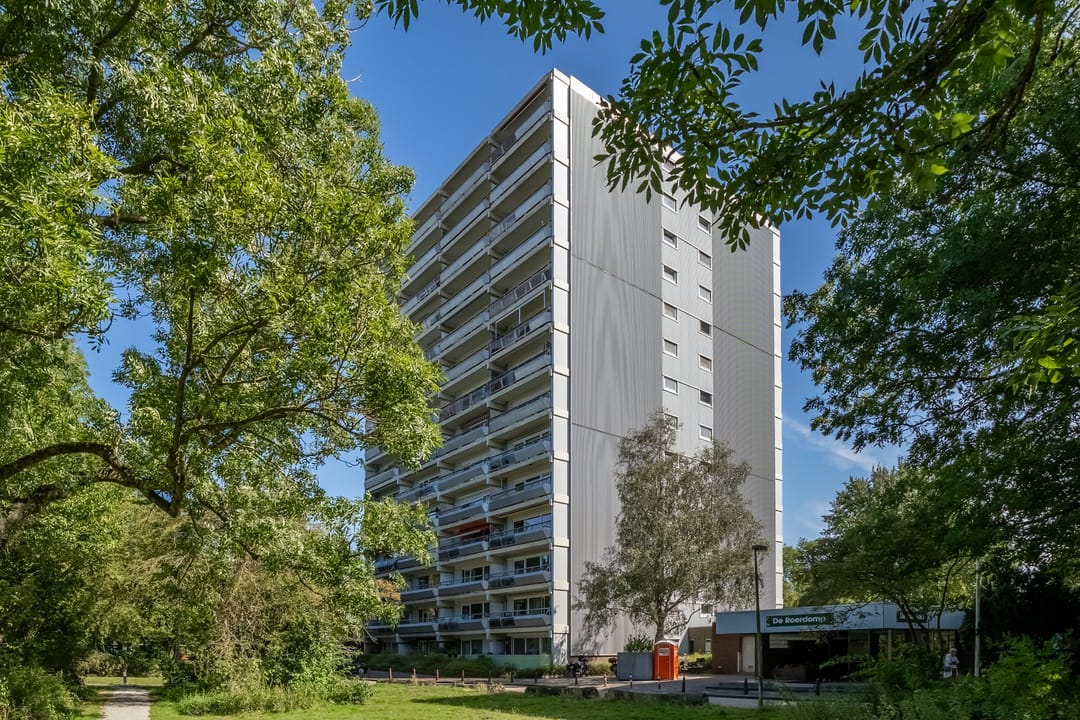 Foto 1 van De Roerdomp 101